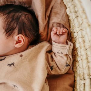 Newborn Shooting von Neugeborenem im Korb in Backnang